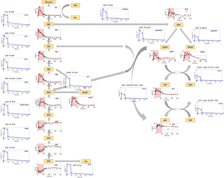 Fig. 4