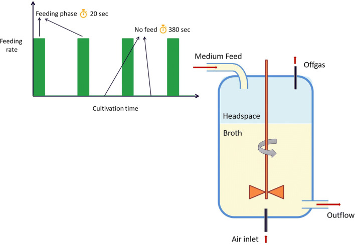 Fig. 1