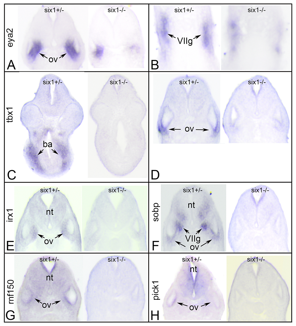 Figure 3: