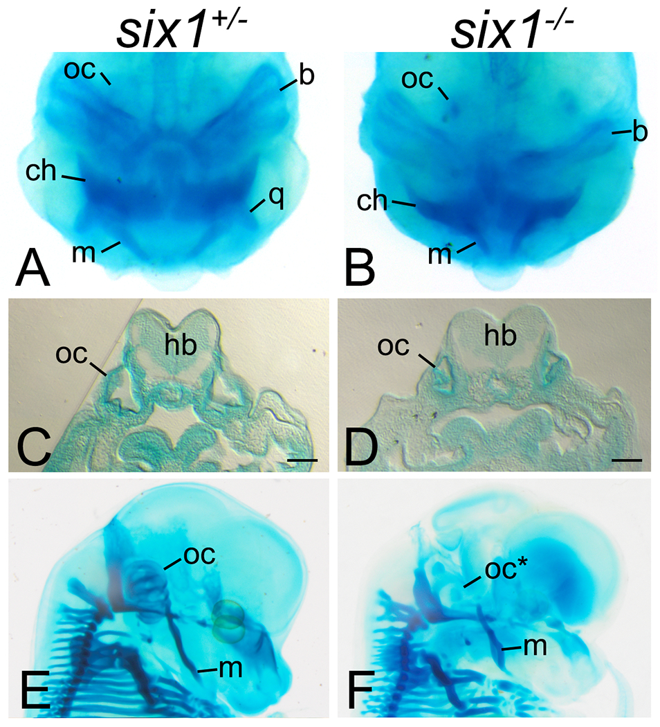 Figure 4: