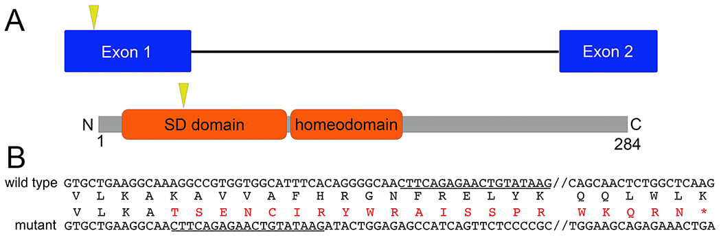 Figure 1: