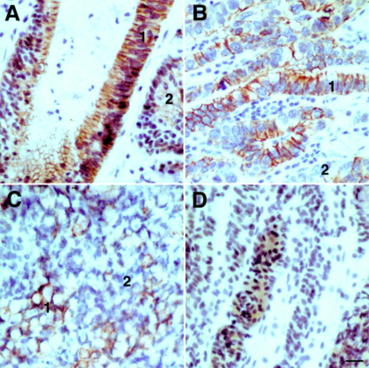 Figure 6  