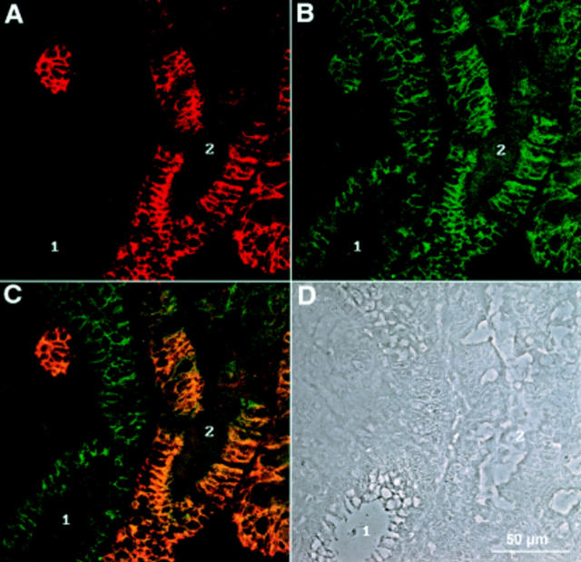 Figure 3  