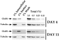 Fig. 9.