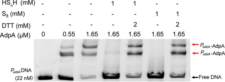 FIG 3