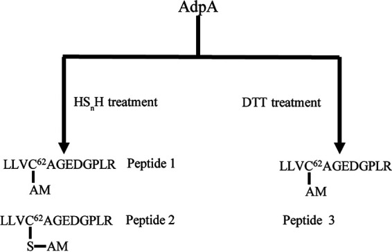 FIG 8