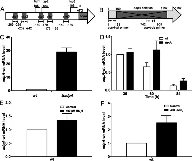 FIG 4