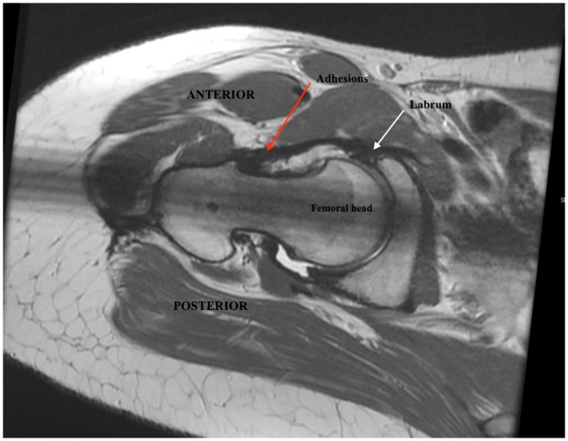 Fig. 5.