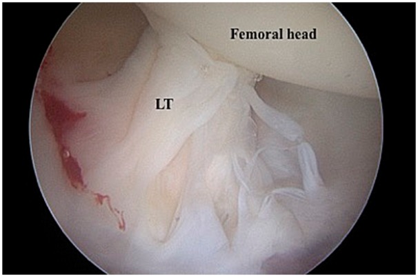 Fig. 7.