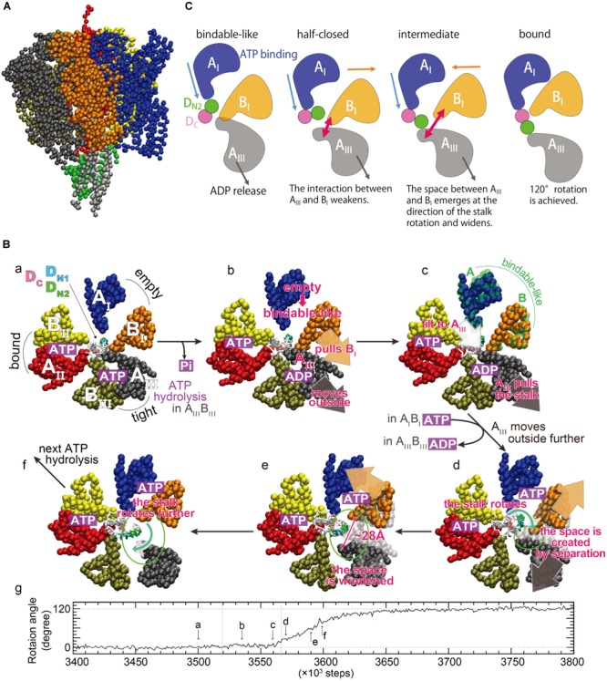 FIGURE 4