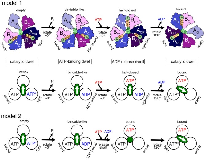 FIGURE 3