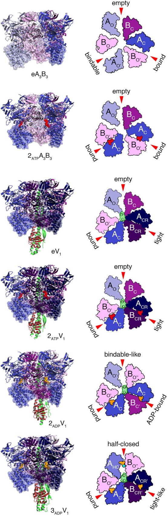 FIGURE 2