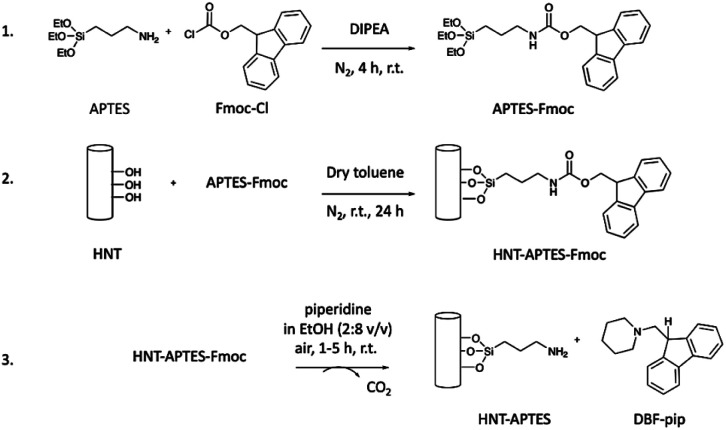 Scheme 1