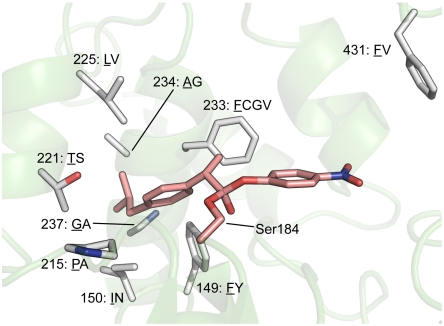 Fig. 3.