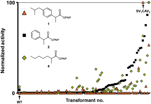 Fig. 4.