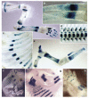 Fig. 2