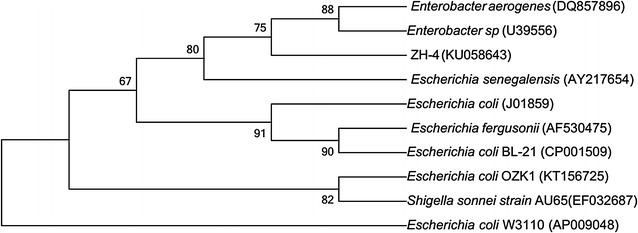 Fig. 3