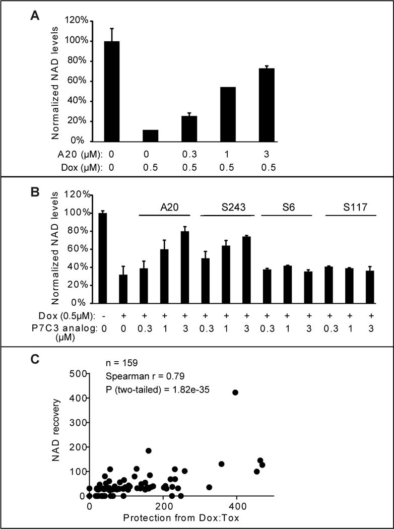 Figure 5