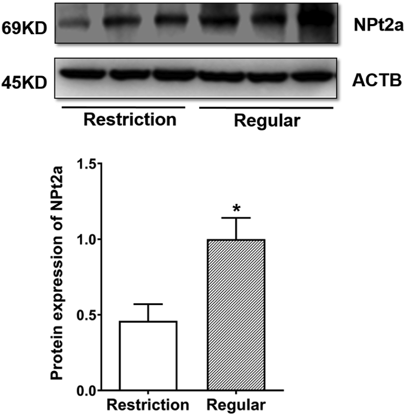 Fig. 3