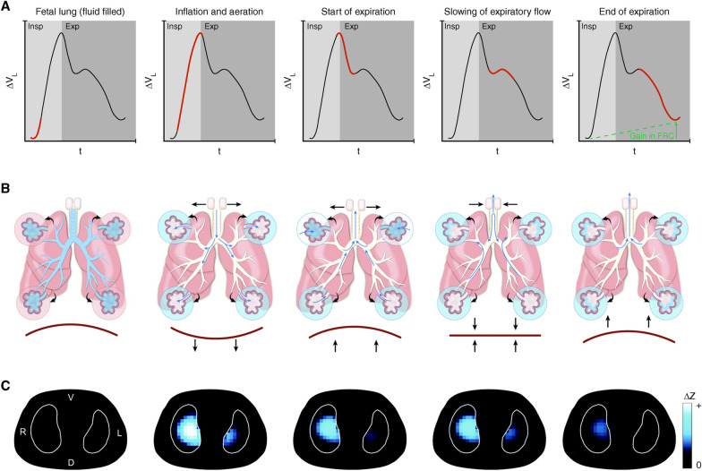 Fig. 8