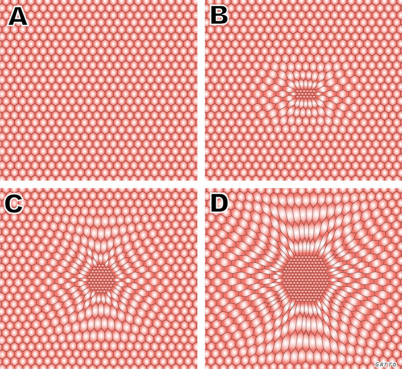 Fig. 3