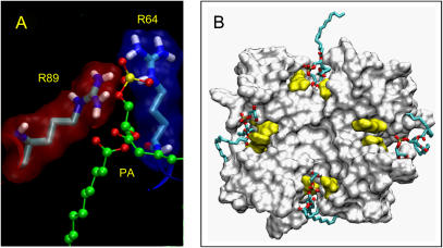 FIGURE 4