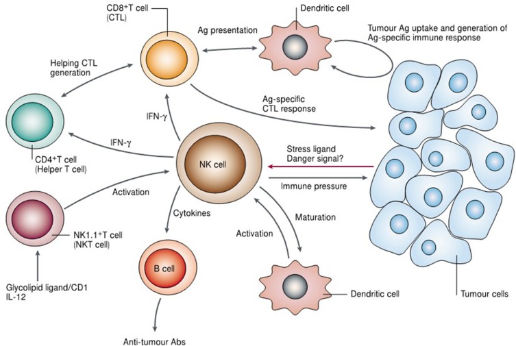 Figure 10