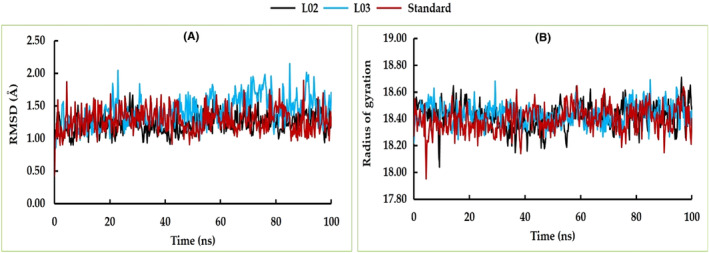 FIGURE 13