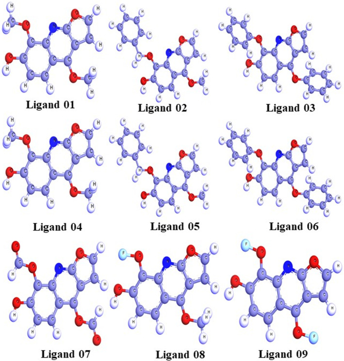 FIGURE 3