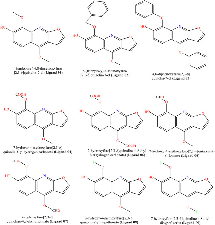 FIGURE 1