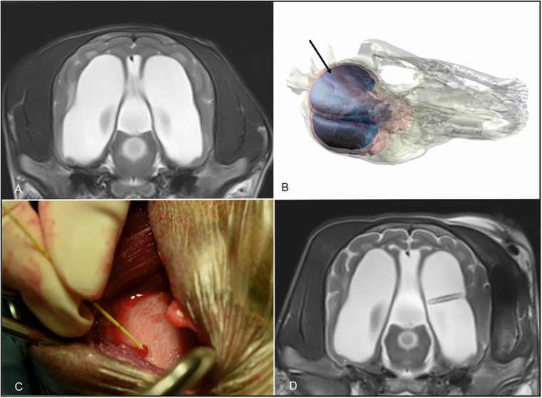 Fig 1