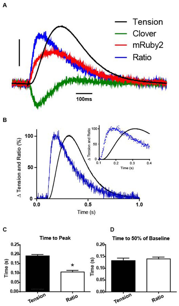 Figure 4.