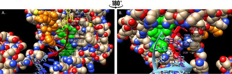 FIG 14