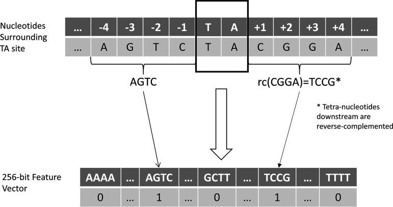 FIG 5