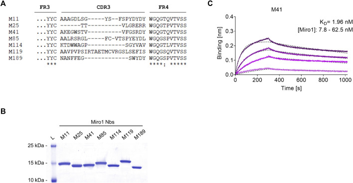 FIGURE 1