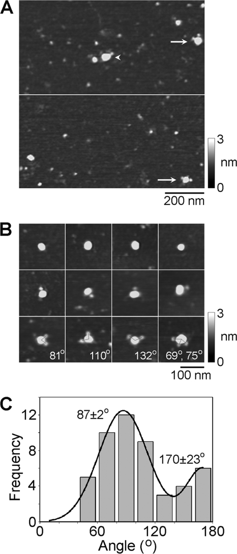 FIGURE 3.