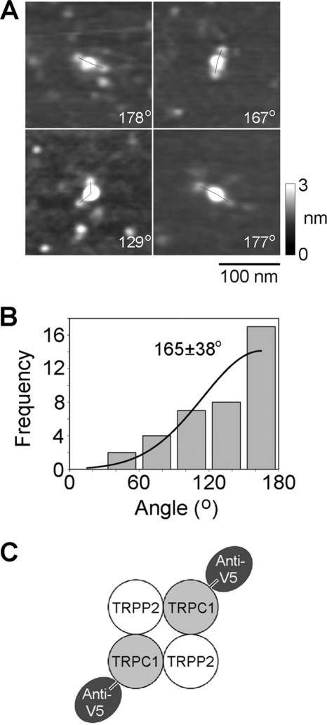 FIGURE 5.