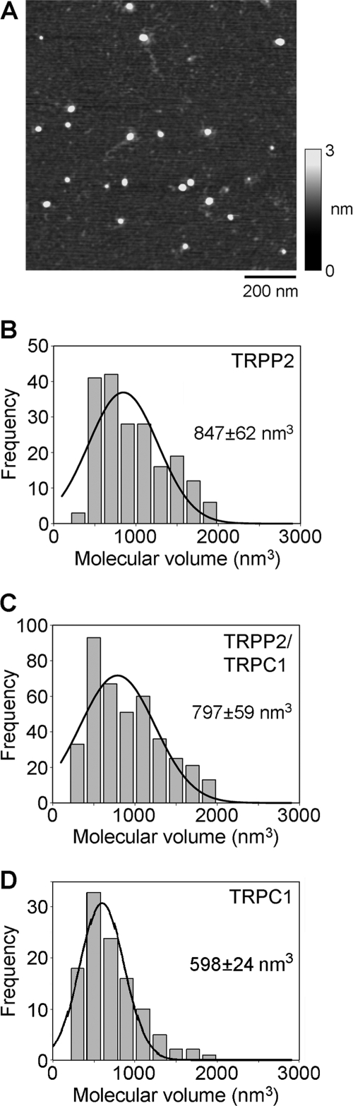 FIGURE 2.