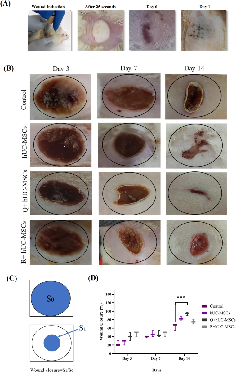 Fig. 4