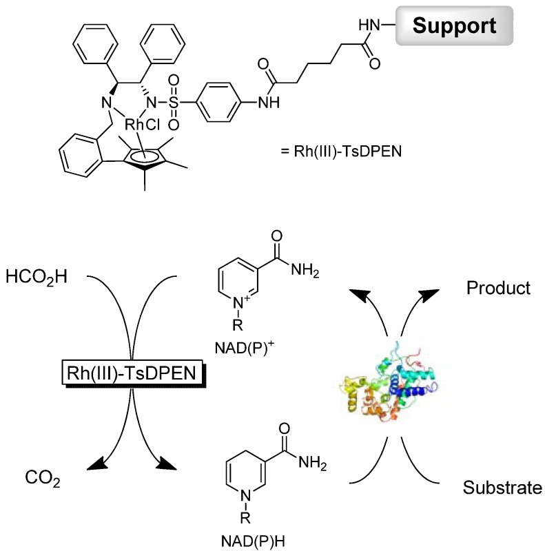 Scheme 1