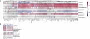 Figure 5—figure supplement 1.