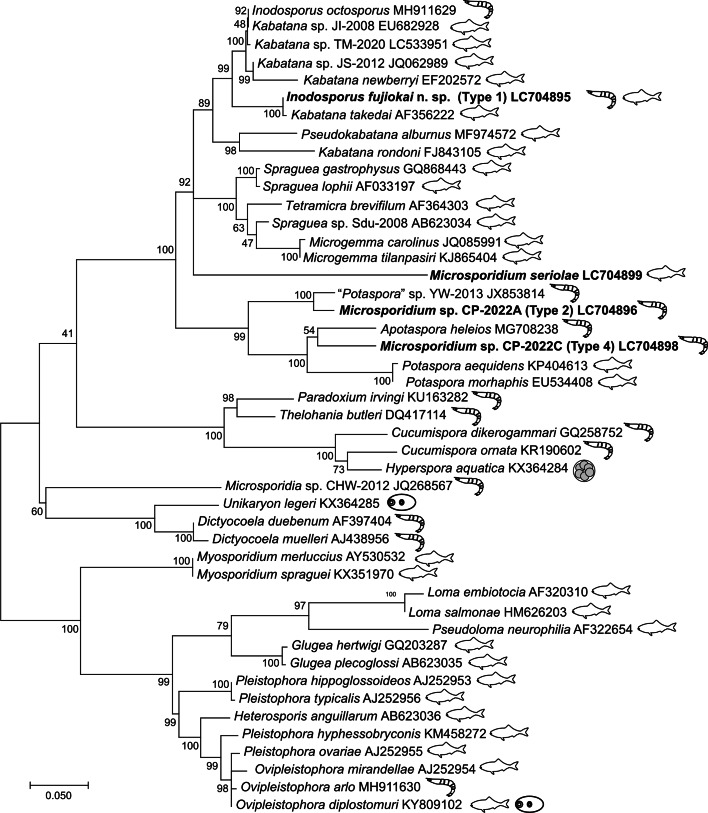 Fig. 4.