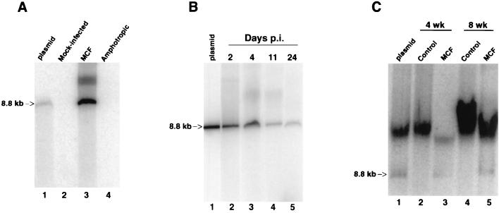 FIG. 5