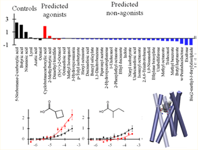 graphic file with name nihms-1591804-f0001.jpg