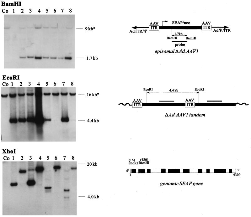 FIG. 4