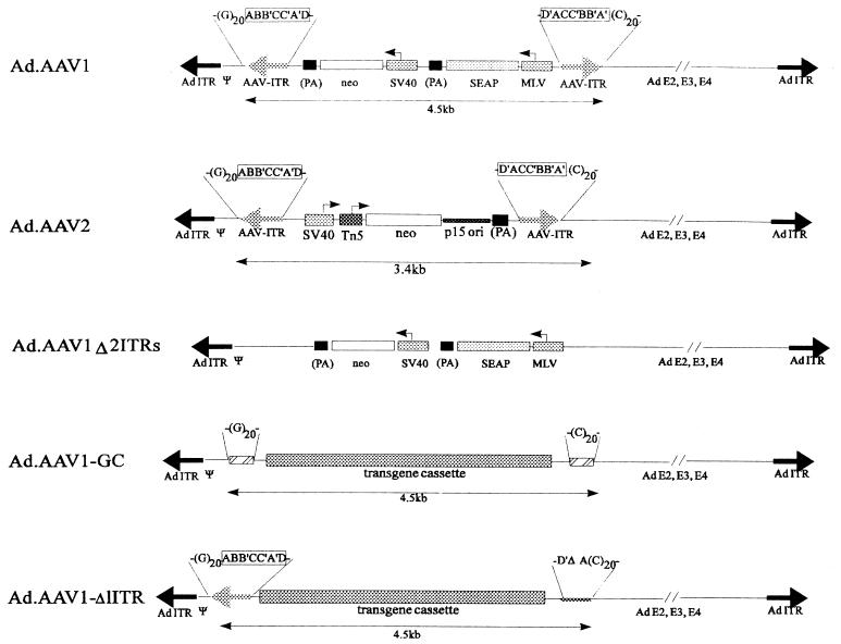 FIG. 1