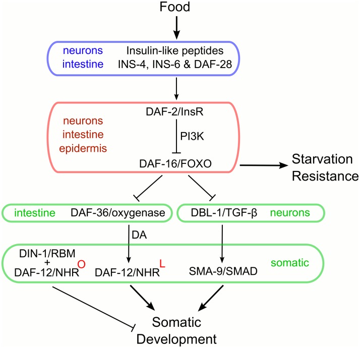 Fig 6