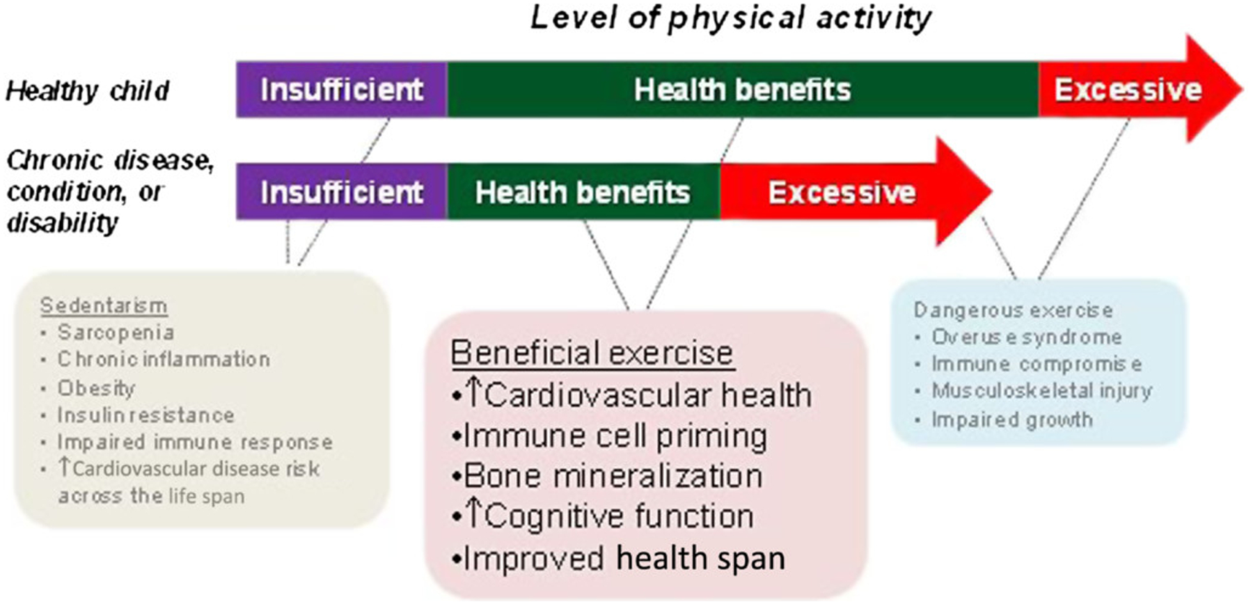 Figure 4 —