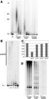 Fig 2.