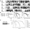Fig 3.
